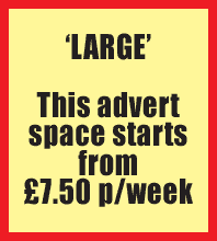 This LARGE advert space starts from £7 per week