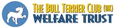 The Bull Terrier Welfare Trust, is a registered charity managed by a group of experienced Bull Terrier owners and breeders
