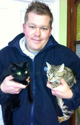 Cats Ellie and Marie with RSPCA volunteer Daniel Bradshaw after being abandoned outside the centre