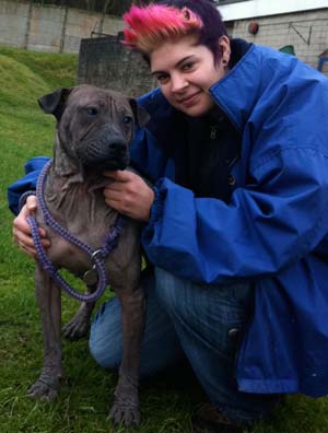 Bella with Animal Centre volunteer Charlotte