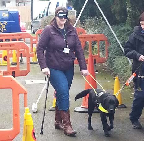 Staff from Sainsbury's in Dronfield, along with representatives from Chesterfield Guide Dogs branch, visited Guide Dogs Training School in Leamington to see the progress their sponsored Guide Dog puppy Dawson is making in his training to be a Guide Dog.