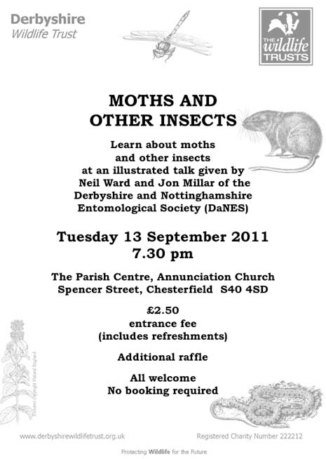 Poster for the DWT's talk on Moths and Other insects