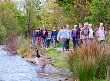 Walkers, ramblers and strollers can enjoy beautiful countryside, charming villages and one of England's oldest market towns - with most walks free.