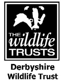 Derbyshire Wildlife Trust has a series of talks beginning with Moths and other Insects!