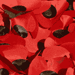Chesterfield's Civic Remembrance Service will take place on Sunday, 11th November, at the Parish Church, starting at 2.30pm
