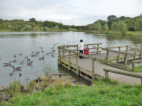 The mystery shopper also spoke to a number of park users and all said that the Park was well kept and well used. They were particularly happy with the café, where they said the food is good and the staff friendly.