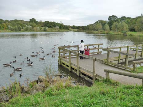 The mystery shopper also spoke to a number of park users and all said that the Park was well kept and well used. They were particularly happy with the café, where they said the food is good and the staff friendly.