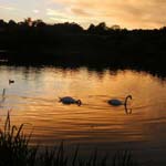 High Praise For Chesterfield's Holmebrook Valley Park