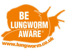 Local Vet Warns Of Spread Of Deadly Dog Disease Across The UK with 'Be Lungworm Aware' campaign