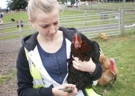 RSPCA Opens Doors for local young people