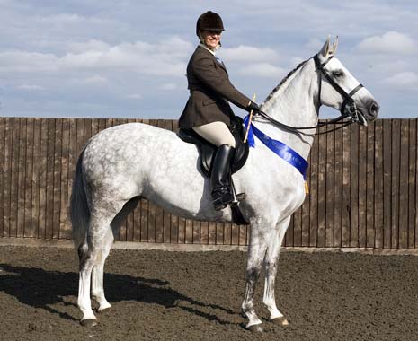 Sally Ann Needham and Waroussia from Chesterfield have qualified for premier national championship 'Horse Of The Year Show'