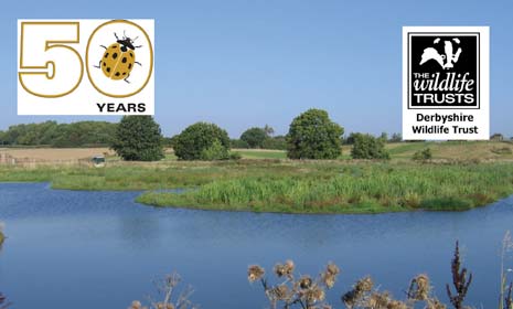 24 Hour Wildlife Extravaganza At The Avenue Washlands celebrating Derbyshire Wildlife Trust's 50th Anniversary