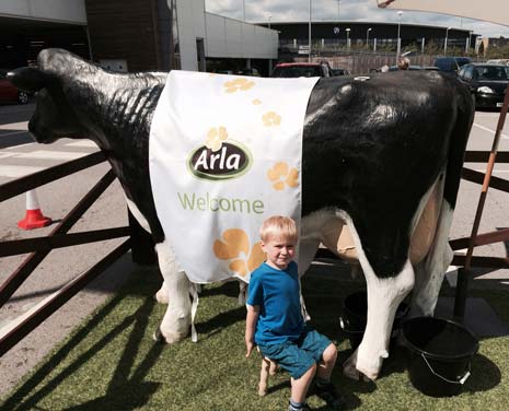 Young Joel Haywood tries his hand at a bit of milking at Tesco's Farm to Fork event