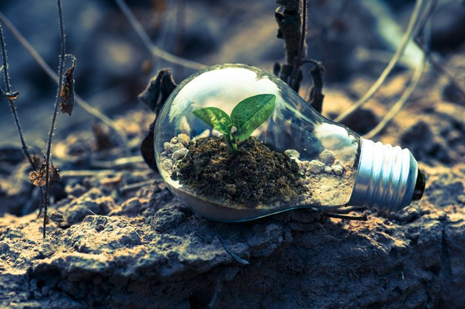 Notable measures to protect the planet from the harmful effects of human activities are long-overdue, but we’ve got to start somewhere.