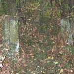 Part of the site which may need an archeological assessment