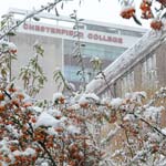 Images of the snow