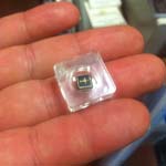 Small But Perfectly Formed! World's Smallest Book Is In Town