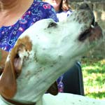 Frankie The Singing Dog 'Leads' The Way At Church Service