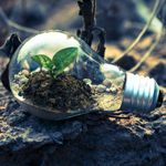 Sustainability As The New Normal: Why Businesses Have To Reconsider Their Practices