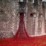Council Ask For History Help To Aid Towns Poppy Display Bid