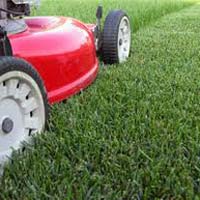 Green Fingers Can Now Beat Crime