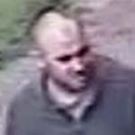 CCTV Pics Released After Burglary At Renishaw Farm