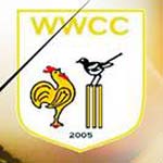 Whittington Cricket, Community And Charity Festival