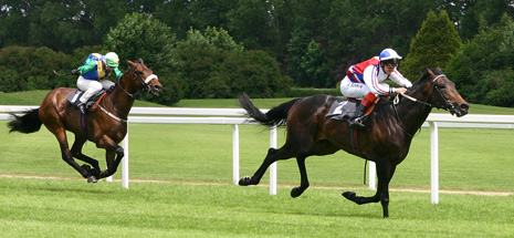 One of the biggest social events of the year, Royal Ascot, gives punters the chance to get dressed up and mingle with high society.