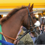 The Grand National at Aintree in 2020 could be a historic renewal of the world's most famous steeplechase.