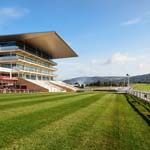 Day three of the Cheltenham Festival is also known as St. Patrick’s Thursday, a nod towards those from the Emerald Isle who flock to Prestbury Park in their numbers each year to cheer on their favourite trainers, jockeys and horses. 