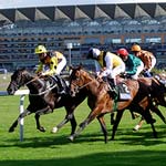 The UK has its fair share of special events in the horse racing world, but one of the most exciting and luxurious is Royal Ascot.