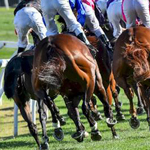 The Grand National - William Hill Gives Some Betting Tips