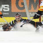 5 Sheffield Steelers Included In GB Squad, DeCaro Leaves For Norway